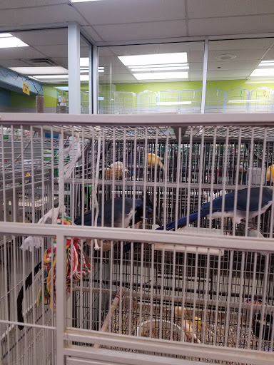 Pet Store «Parrots Of The World Aquarium and Pet Center», reviews and photos, 316 Sunrise Hwy #1, Rockville Centre, NY 11570, USA