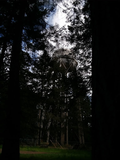 Golf Course «Fort Steilacoom Golf Course», reviews and photos, 8202 87th Ave SW, Lakewood, WA 98499, USA