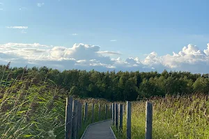 Pornaistenniemi Nature Trail image