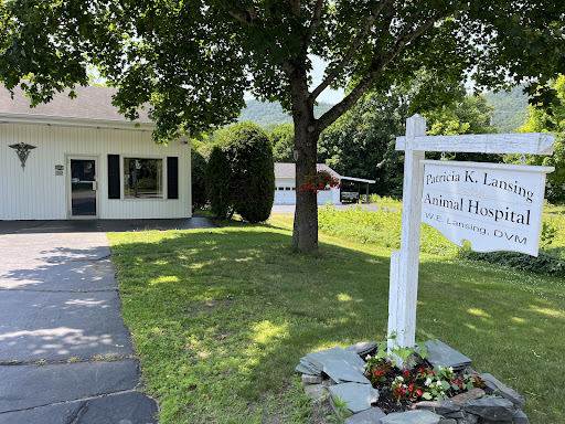 Queensbury Animal Hospital