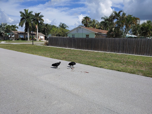 Golf Shop «Loxahatchee Club-Golf Shop», reviews and photos, 1350 Echo Dr, Jupiter, FL 33458, USA