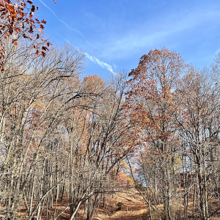 South Park/Montour Trail Connector