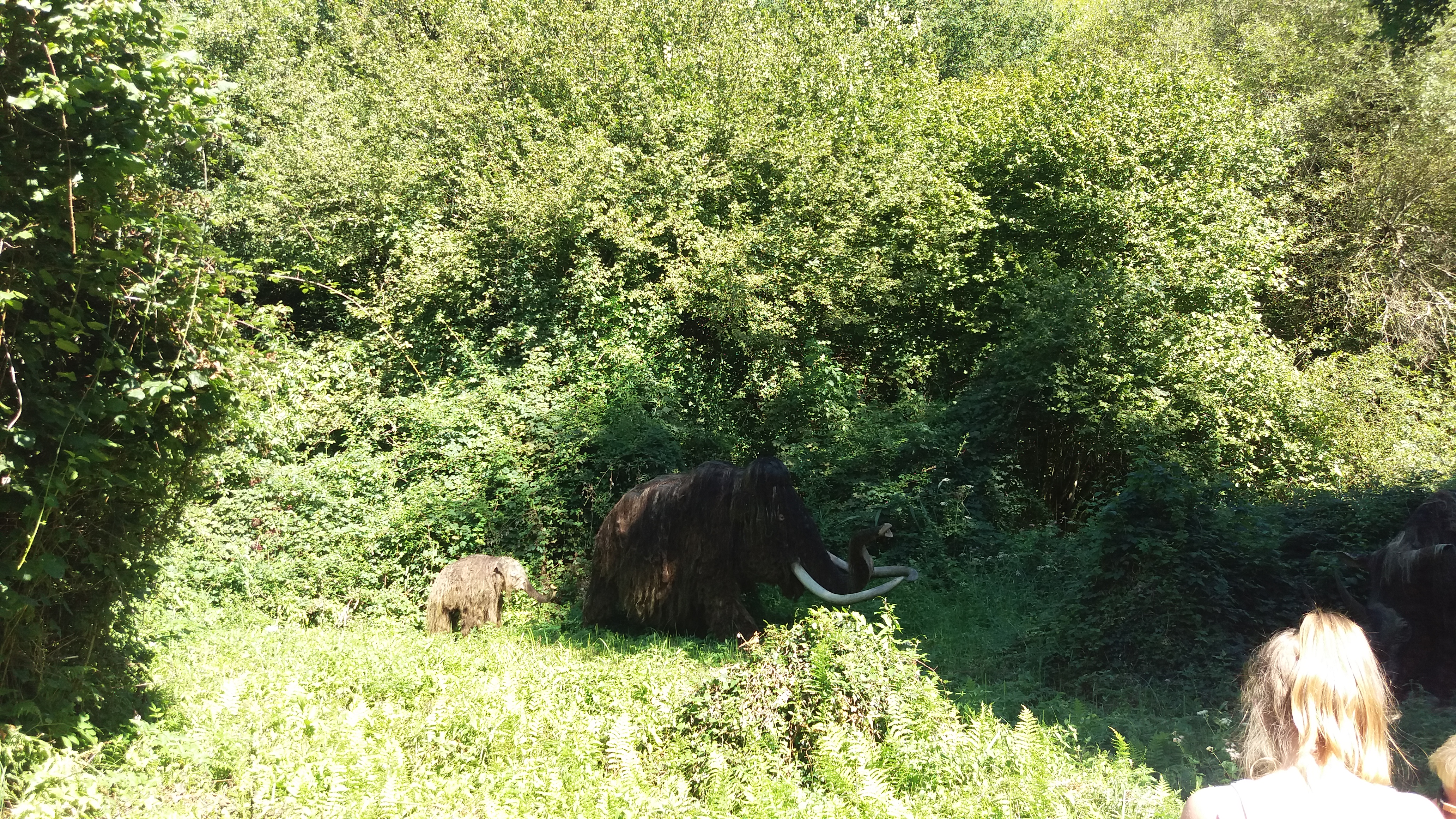 Photo n° 5 de l'avis de kupczyk.i fait le 22/08/2017 à 18:17