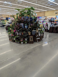 Albertsons - Photo 6 - Car repair in Meridian, ID, Boise