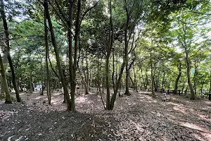 Megumigaoka Park image