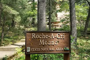 Roche-A-Cri Mound State Natural Area image