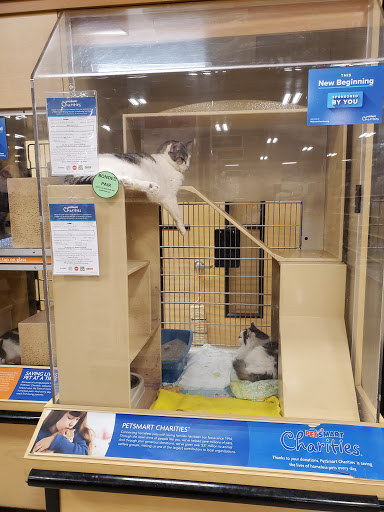 Pet Supply Store «PetSmart», reviews and photos, 10697 E US Hwy 36, Avon, IN 46123, USA