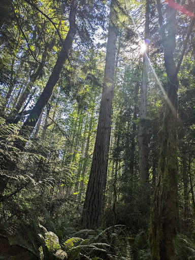 Nature Preserve «Gazzam Lake Nature Preserve», reviews and photos, 6105 NE Marshall Rd, Bainbridge Island, WA 98110, USA