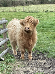 Berkswell Traditional Farmstead Meats