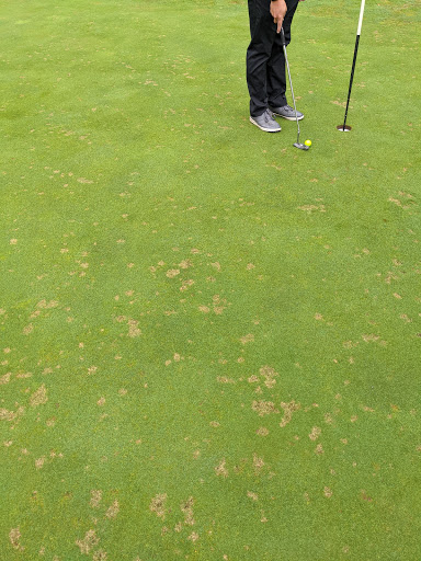 Public Golf Course «Arrowhead Golf Club», reviews and photos, 12292 Clarence Center Rd, Akron, NY 14001, USA