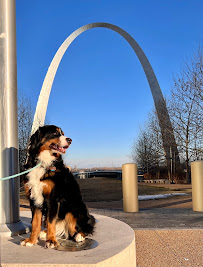 Paws Mahal, LLC - Photo 7 - Car repair in Sherwood, AR, Little Rock