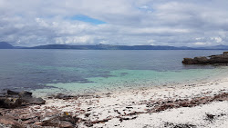 Photo de Coral Beach situé dans une zone naturelle