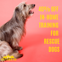 Naptown K9 - Photo 9 - Car repair in , Indianapolis