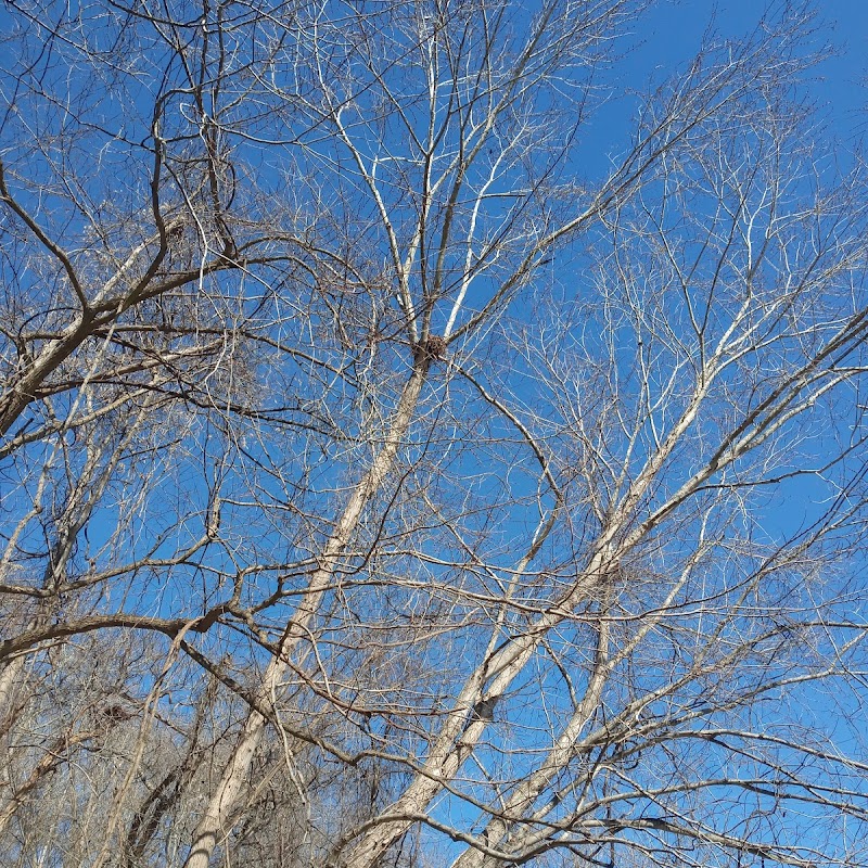 James River Heritage Trail Access