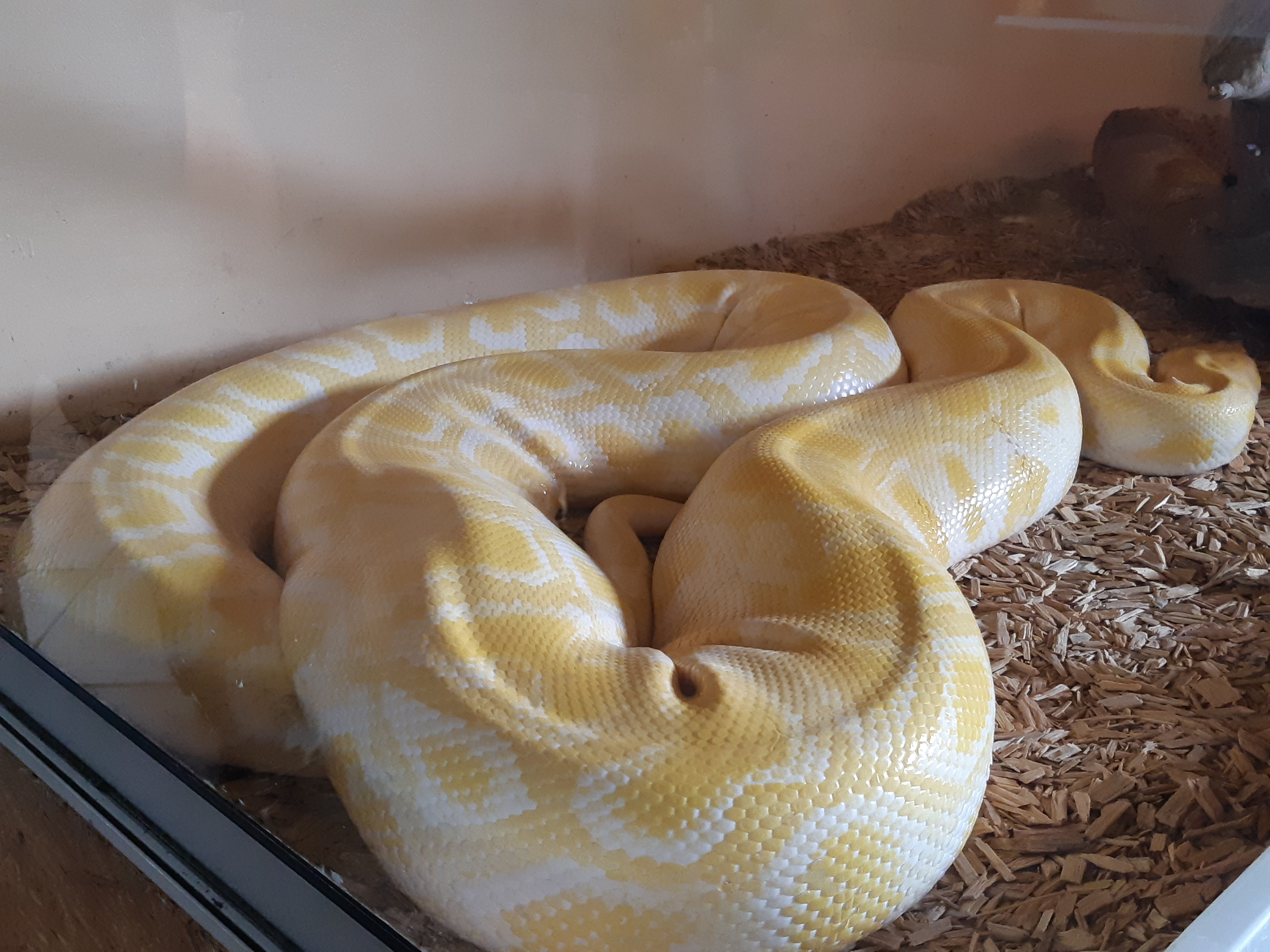 Photo n° 8 de l'avis de Stephanie.t fait le 30/08/2020 à 15:16