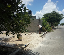 Archivo de Trámite de Desarrollo Urbano, Ayuntamiento de Mérida photo