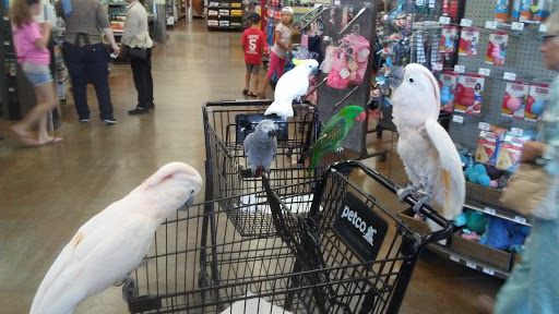 Pet Supply Store «Petco Animal Supplies», reviews and photos, 3975 Cascades Blvd #30, Kent, OH 44240, USA