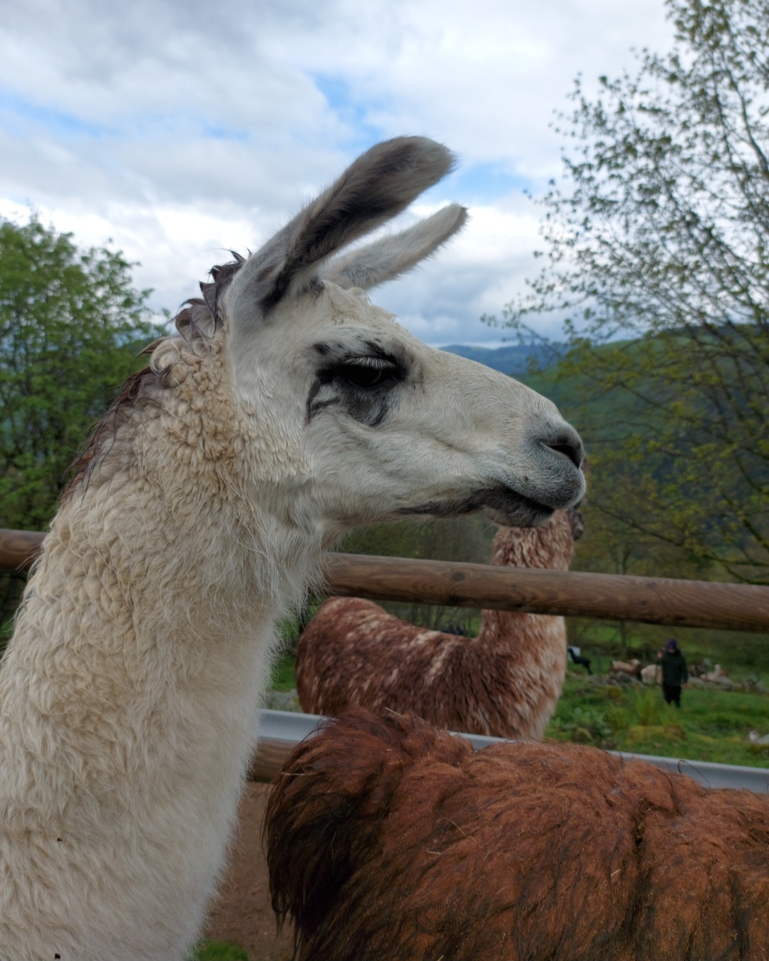 Photo n° 1 de l'avis de Lore.t fait le 12/05/2023 à 12:28