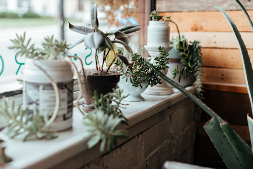 Hair Salon «Mint Hair Studio», reviews and photos, 323 E Main St, Collegeville, PA 19426, USA