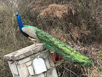 All Good Plumbing, Inc. - Photo 3 - Car repair in Newalla, OK, Norman