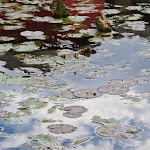 Photo n°3 de l'avis de Martin.e fait le 04/09/2020 à 18:26 sur le  Hofgarten und Hotel am Kloster à Rinteln