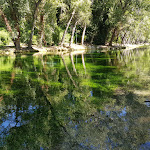 Photo n°4 de l'avis de Angelo.e fait le 14/09/2022 à 12:15 sur le  Parco del Grassano à San Salvatore Telesino