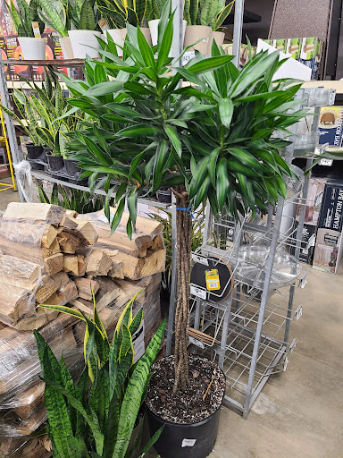 Home Improvement Store «The Home Depot», reviews and photos, 1100 Liberty Park Dr, Hurricane, WV 25526, USA