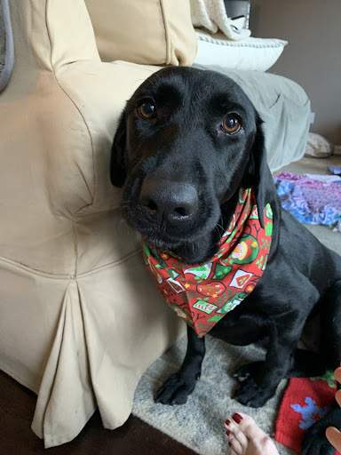 Hardware Store «Westlake Ace Hardware 098», reviews and photos, 4701 Colleyville Blvd, Colleyville, TX 76034, USA