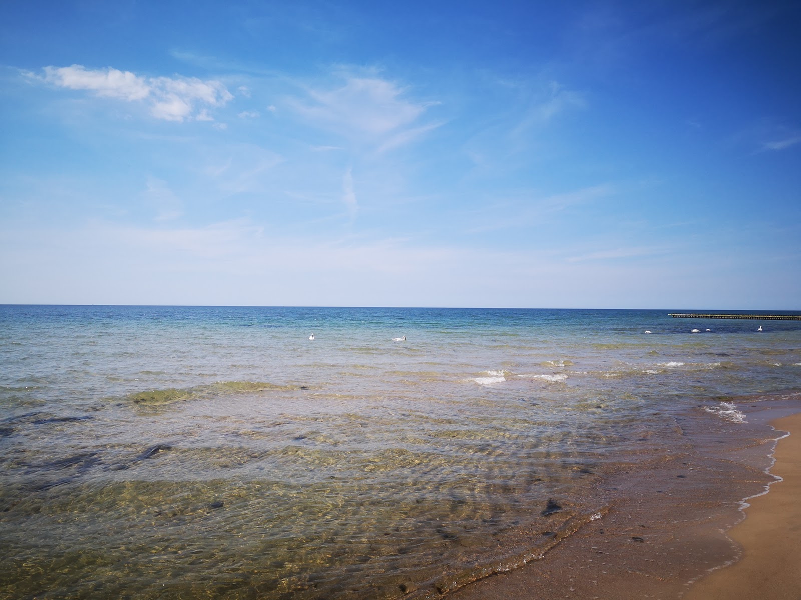 Foto av Amber Harbor beach bekvämlighetsområde