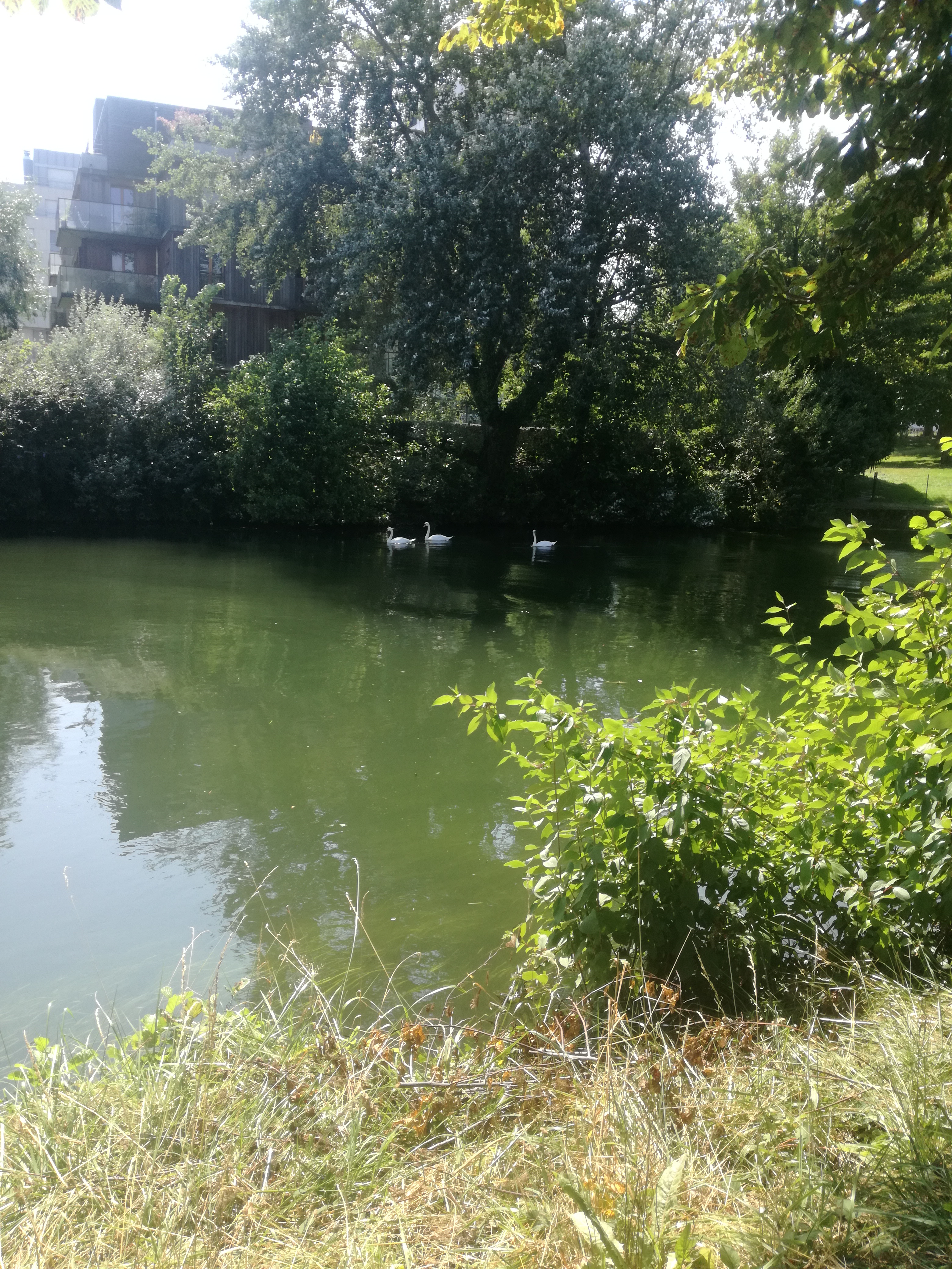 Photo n° 2 de l'avis de Fazia.e fait le 25/08/2021 à 14:36