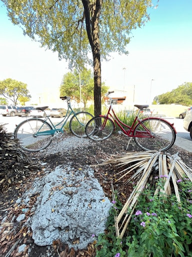 Bicycle Store «The Peddler Bicycle Shop - Hyde Park», reviews and photos, 5015 Duval St, Austin, TX 78751, USA