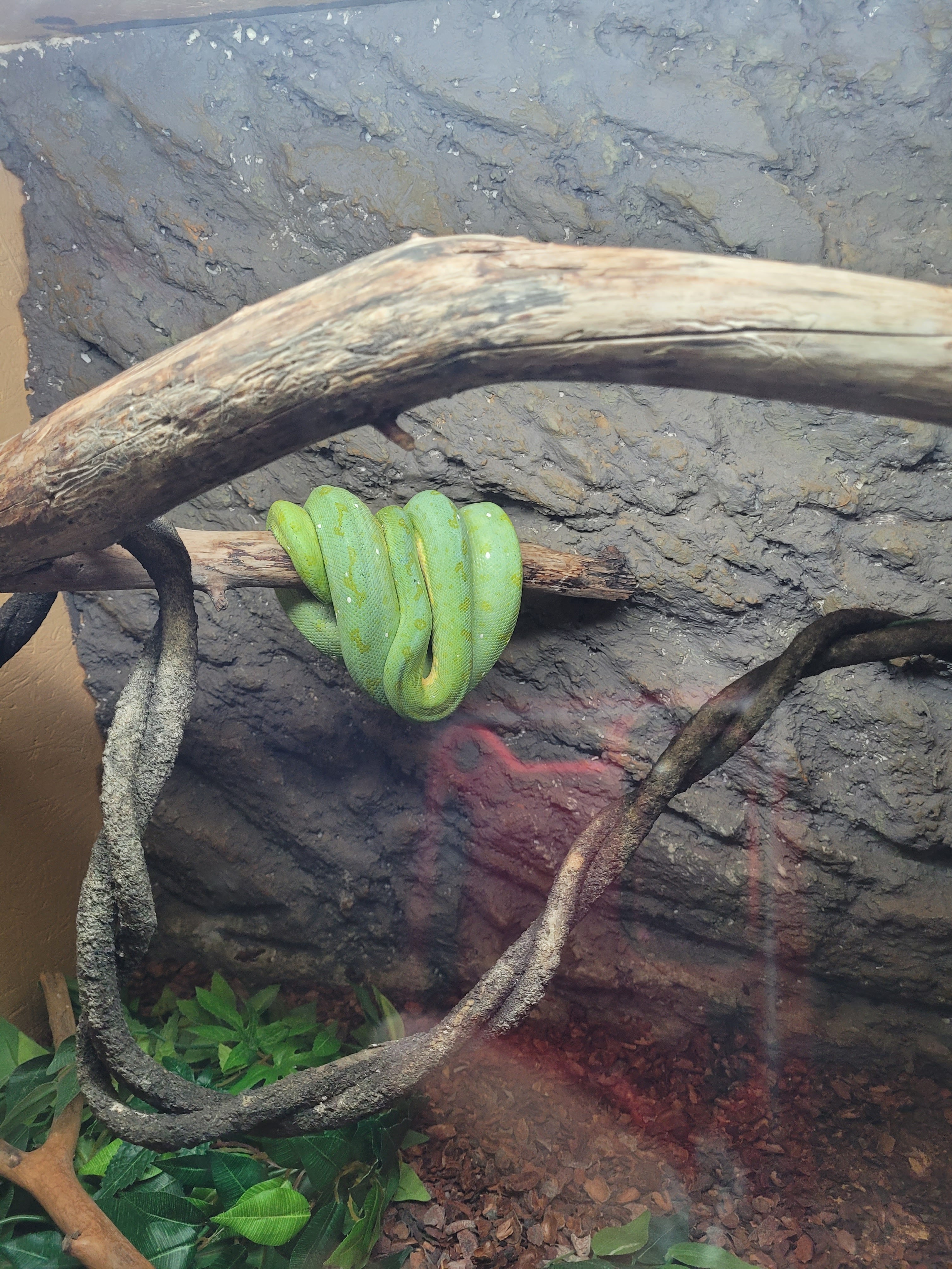 Photo n° 2 de l'avis de nathalie.a fait le 09/09/2023 à 21:49