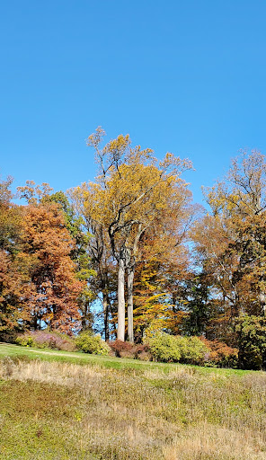 Museum «Winterthur», reviews and photos, 5105 Kennett Pike, Winterthur, DE 19735, USA