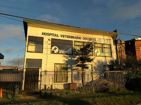 Hospital Veterinario Docente UST Puerto Montt