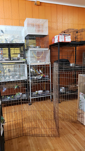 Pet Store «Pet Shop Geovanni», reviews and photos, 11132 E Hardy Rd, Houston, TX 77093, USA