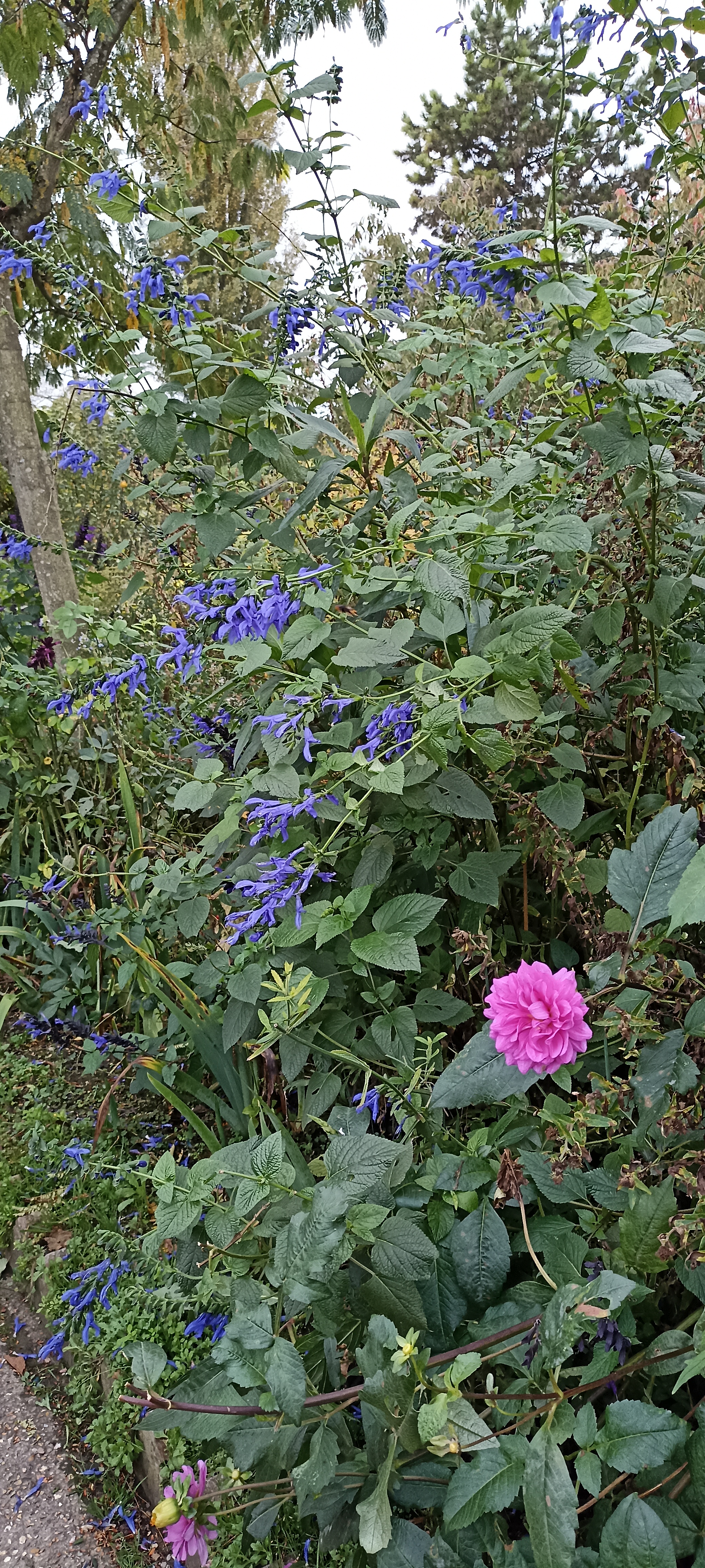 Photo n° 25 de l'avis de Verginia.H fait le 01/11/2022 à 18:08