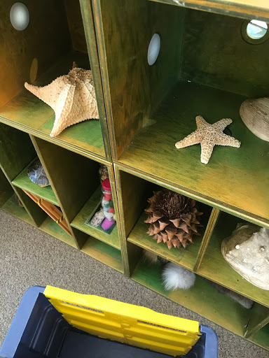 Museum «Elgin Public Museum», reviews and photos, 225 Grand Blvd, Elgin, IL 60120, USA