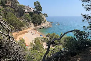 Cala Figuera image