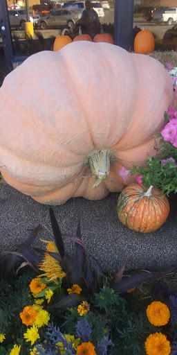 Supermarket «Hy-Vee», reviews and photos, 2453 N Court St, Ottumwa, IA 52501, USA