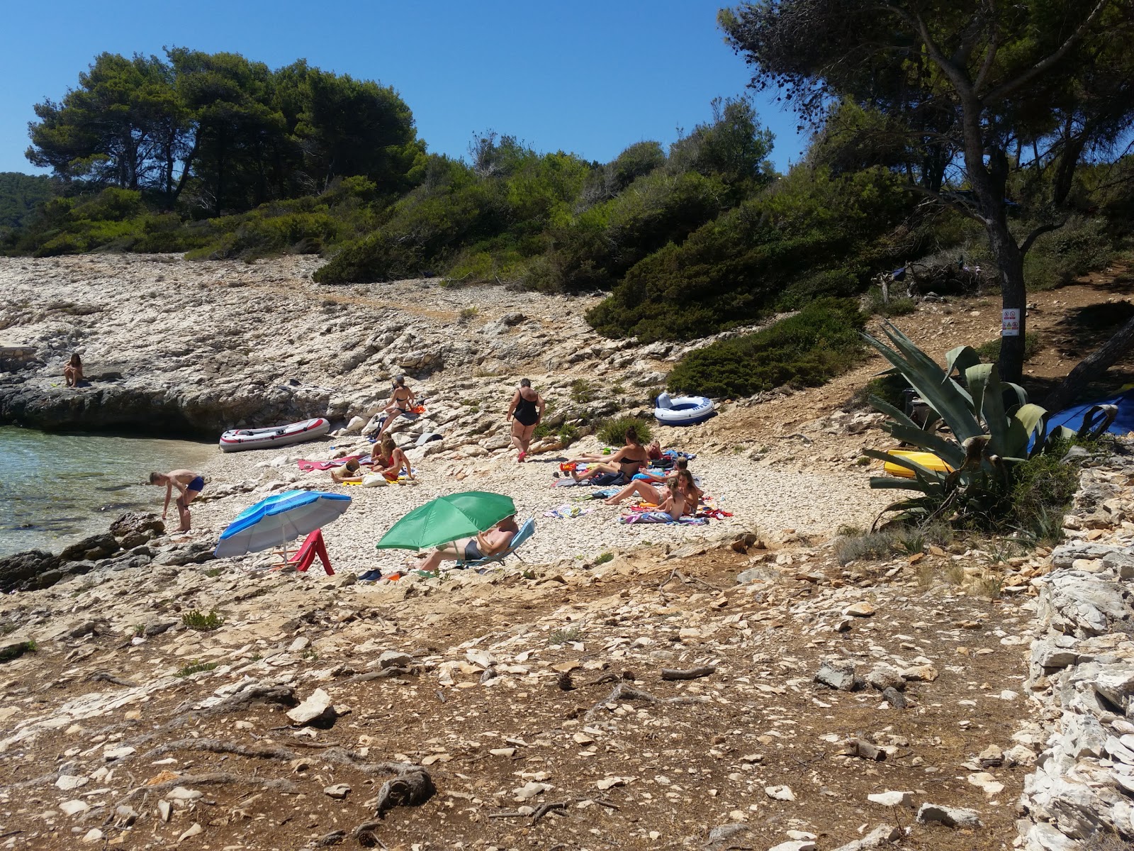 Fotografija Nova beach z srednje stopnjo čistoče