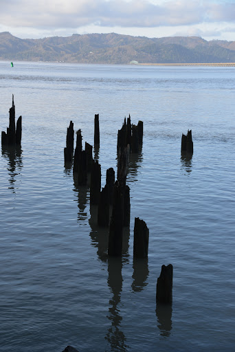 Outlet Mall «Seaside Factory Outlet Center», reviews and photos, 1111 N Roosevelt Dr, Seaside, OR 97138, USA