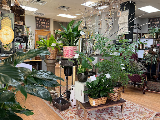 Florist «Mariposa Plants And Flowers», reviews and photos, 801 8th St #110, Greeley, CO 80631, USA