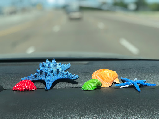 Park «Victor Park», reviews and photos, 1601 S M St, Harlingen, TX 78550, USA