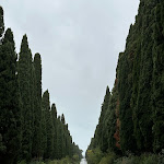 Photo n°2 de l'avis de Edoardo.i fait le 12/11/2023 à 13:48 sur le  Risto-Macelleria San Martino à Castagneto Carducci