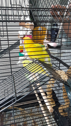 Pet Store «El Palomar Pet Shop Inc», reviews and photos, 4712 W Flagler St, Coral Gables, FL 33134, USA