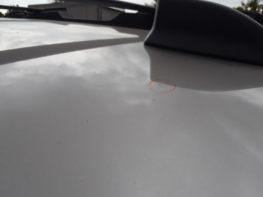 Auto Body Shop «Service King Collision Repair of East Mesquite», reviews and photos, 1215 U.S. 80 Frontage Rd, Mesquite, TX 75150, USA