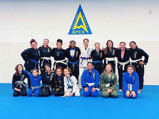 Apex Brazilian Jiu Jitsu Academy Vacaville image