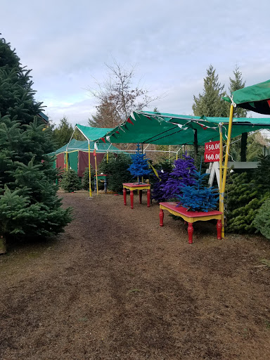 Oxbow Rim Christmas Tree Farm