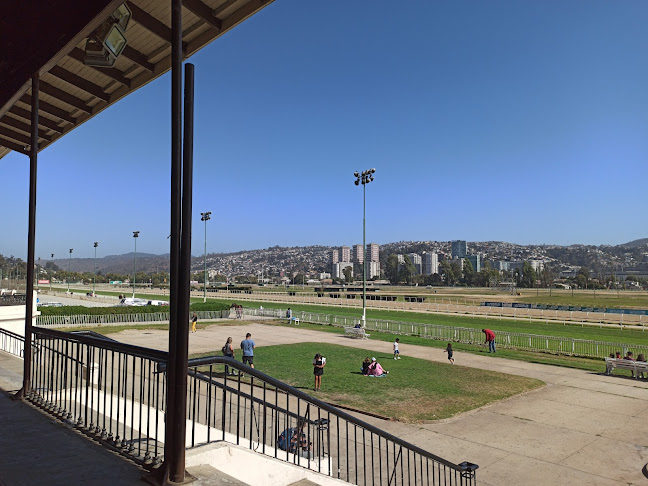 Opiniones de Valparaíso Sporting en Viña del Mar - Campo de fútbol