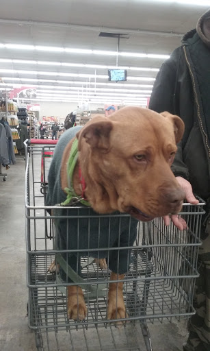 Department Store «Rural King», reviews and photos, 2947 S Washington St, Kokomo, IN 46902, USA